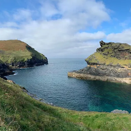 Shire - Crackington Haven, Cornwall